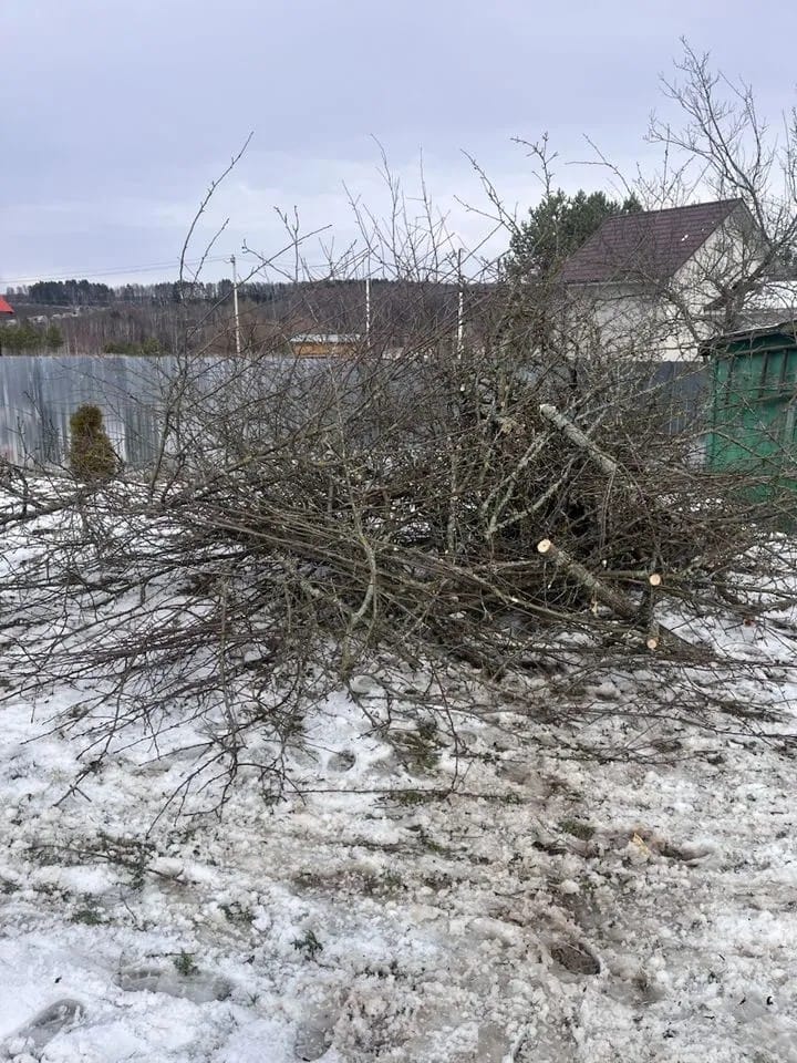Заголовок