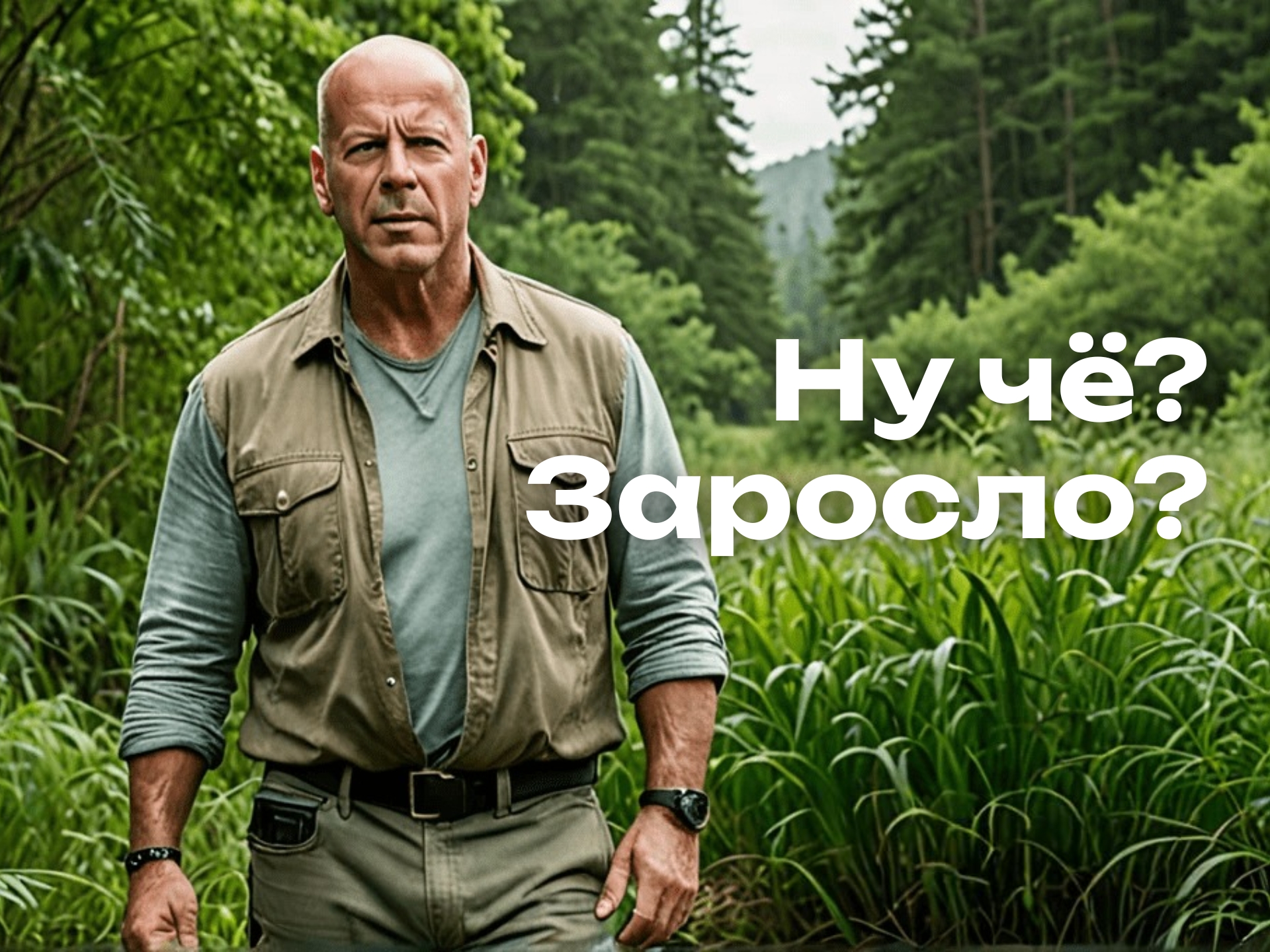 Заголовок